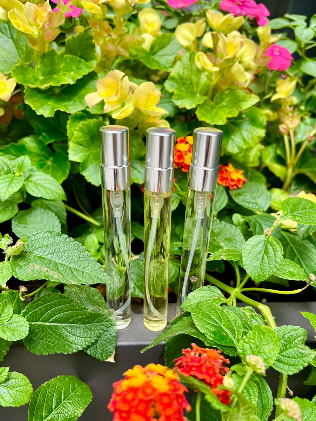 Abela Artisan “BKNY” Perfume Mist – 10ML Vial