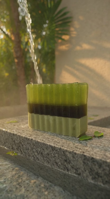 Abela Artisan Moringa Tea Tree - Clay Wellness Soap Bar 5oz. - 141g.